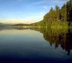 Peaceful Lake with Trees on Bank